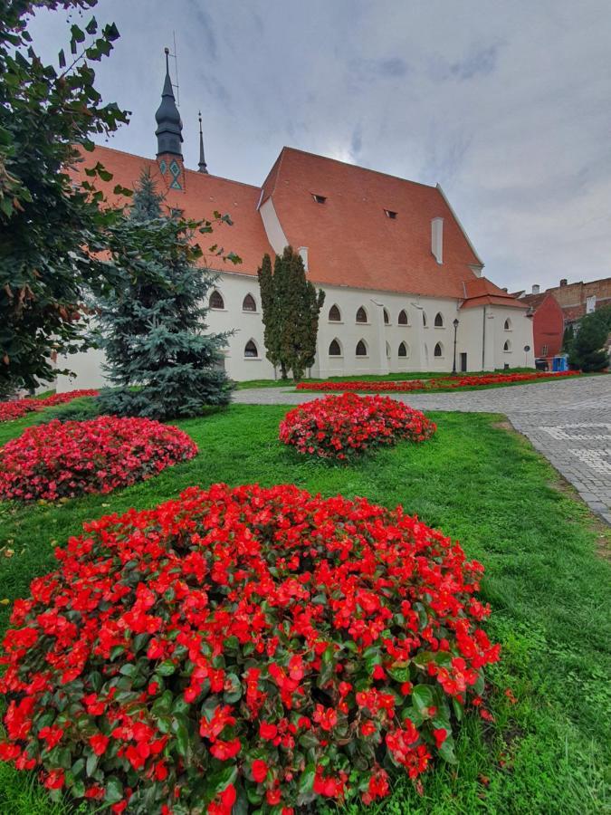 Via Transilvanica Sighisoara Hotel Exterior photo
